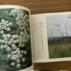 花ごよみ図譜 全15巻完結セットの画像6