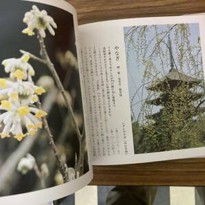 花ごよみ図譜 全15巻完結セットの画像3