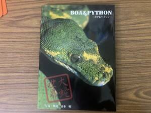  large . world ~ boa & python ~ BOA&PYTHON. water Akira /Z103