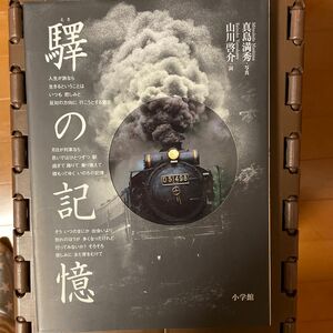 真島満秀 驛の記憶 鉄道