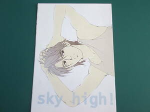 Ｖ6/CAPPADOCIA「sky　high！」鈴木×舜臣(堤X岡田)　スンシン　フライ,ダディ,フライ　同人誌