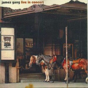 英CD James Gang Live In Concert BGOCD120 BGO /00110