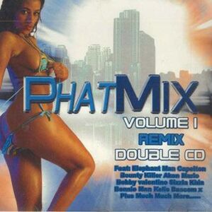 輸入2discs MIX CD Various Phat Mix Volume1 NONE NOT ON LABEL /00220