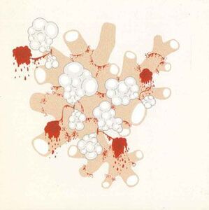 CD Saxon Shore Exquisite Death Of Saxon SHORE YOUTH2006 AND /00110