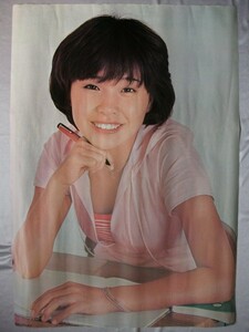  средний постер Matsumoto ...74*52cm SEIKODO / Canyon запись 