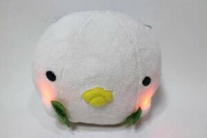 J9* soft toy * Kapibara-san .... shines ... thing kun 