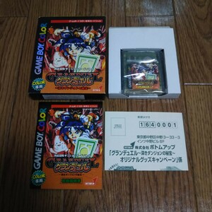 GBC「グランデュエル～深きダンジョンの秘宝～」箱説明書付き