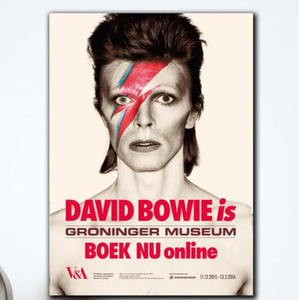  C2593 David Bowie デヴィッド・ボウイ キャンバスアートポスター サイズ 50×75cm イラスト インテリア 雑貨 海外製 枠なし B