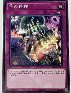 遊戯王 ノーマル 罠 1枚 神の摂理 SR05