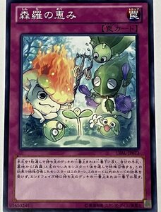 遊戯王 ノーマル 罠 1枚 森羅の恵み LVAL