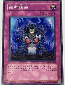 遊戯王 ノーマル 罠 1枚 蛇神降臨 TAEV