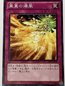 遊戯王 ノーマル 罠 1枚 鳳翼の爆風 SD24