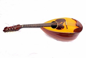 KUNISHIMA MANDOLIN 国島マンドリン ハードケース付 中古品
