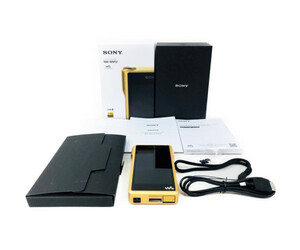 完動品 美品 SONY NW-WM1Z ウォークマン WM1シリーズ 256GB 貴重 レア ヴィンテージ