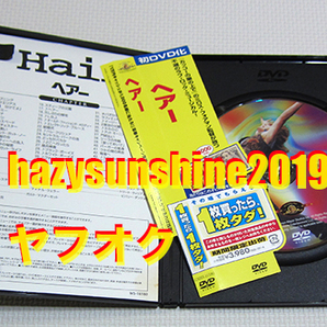 ヘアー HAIR DVD ミロス・フォアマン JOHN SAVAGE ジョン・サベージ MUSICAL ミュージカル TREAT WILLIAMS トリート・ウィリアムズの画像3