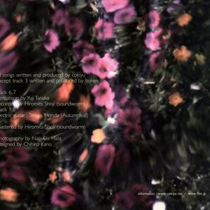 cokiyu - Your Thorn ; 田中佑司, 本田輝也, Autumnleafの画像3