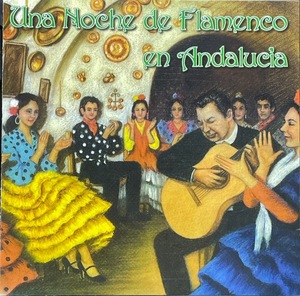 (C11H)* flamenco guitar navy blue pi/Una Noche de Flamenco en Andalucia/sa Be rental another *