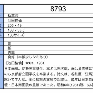 【模写】吉】8793 池田桂仙 秋草図 谷鉄臣・江馬天江師事 日本南画院 伊勢 三重県の人 中国画 茶掛け 茶道具 掛軸 掛け軸 骨董品の画像9