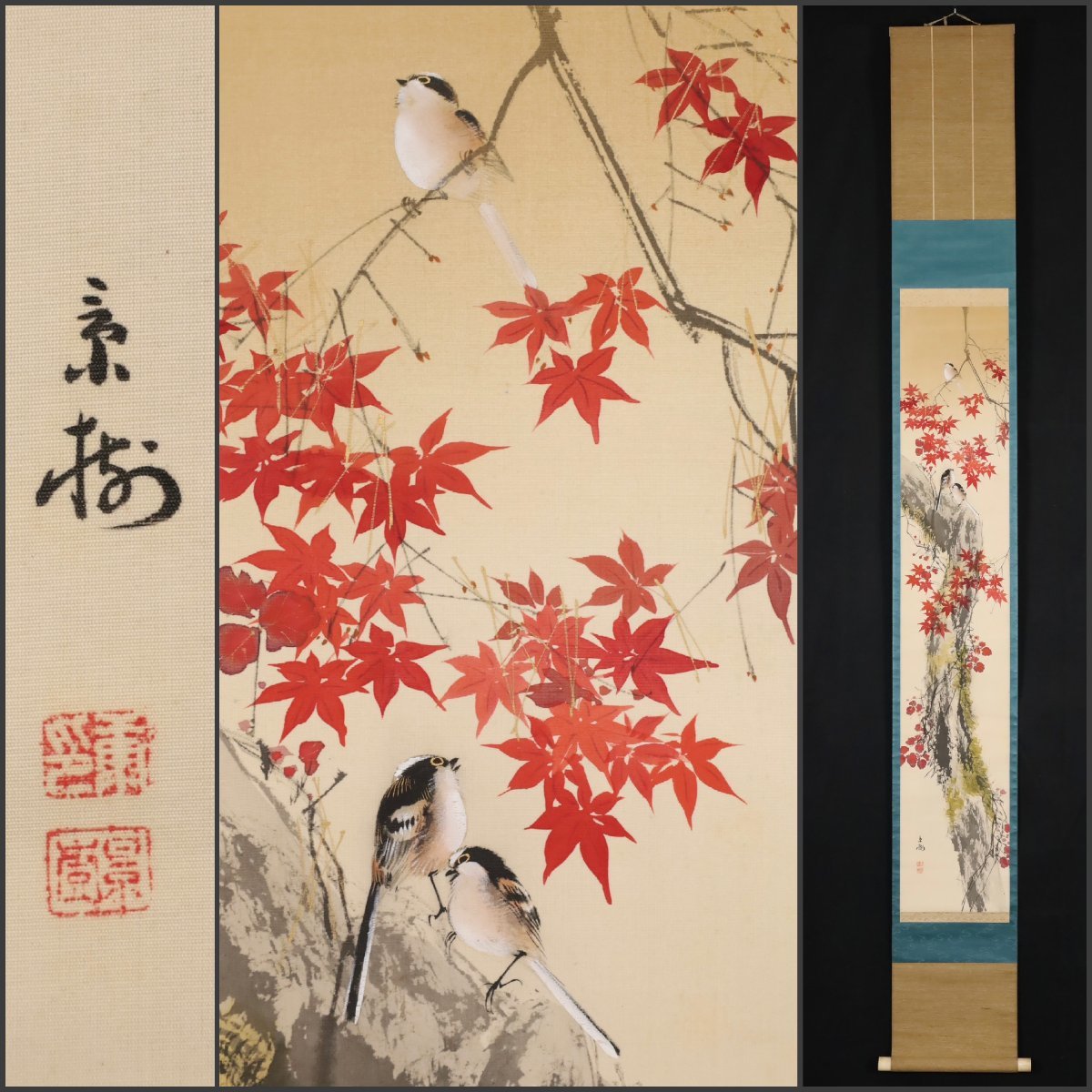 掛け軸【春宵】今井景樹 2543 夜桜 共箱-