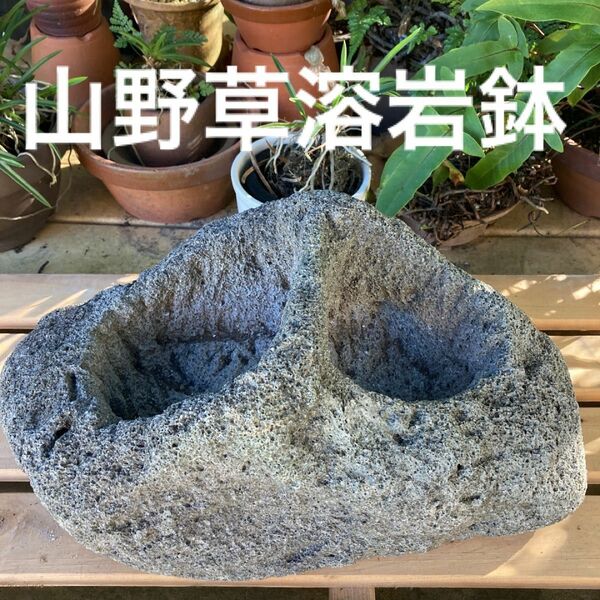 山野草鉢　溶岩岩石タイプ　盆栽　植木鉢　花瓶　生花　陶器