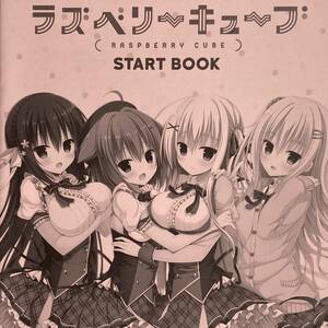 【ラズベリーキューブ START BOOK◆非売品/小冊子】瑠莉 海道美琴 結月悠 狩野みなと まどそふと はすね 美少女 PCゲーム ヒロイン D3