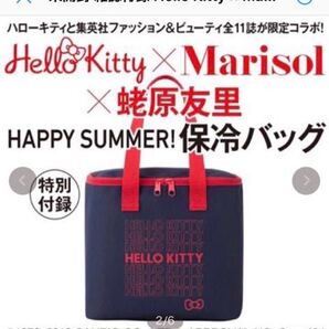 【●新品●大人気●送料無料●即決●】 ハローキティ 保冷バッグ 500mLペットボトルが6本入る 大容量 付録