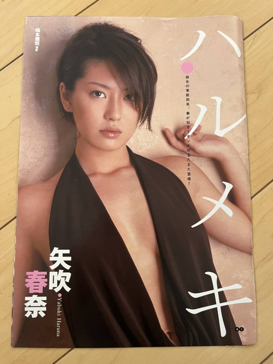 矢吹春奈 夏川純 グラビア切り抜き 週刊ヤングサンデー 2005年 No.991 2025年最新】Yahoo!オークション -矢吹春奈(印刷物)の中古品