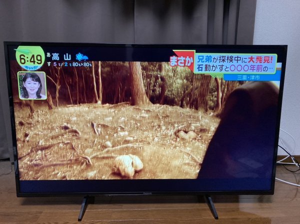 Panasonic TH-49GX755 49型 4K フルハイビジョン 液晶テレビ 2020年製