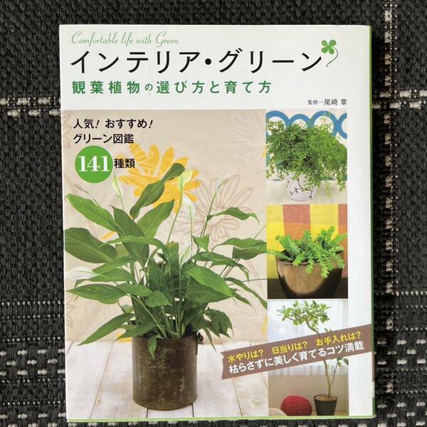 インテリア・グリーン観葉植物の選び方と育て方　人気！おすすめ！グリーン図鑑１４１種類 尾崎章／監修