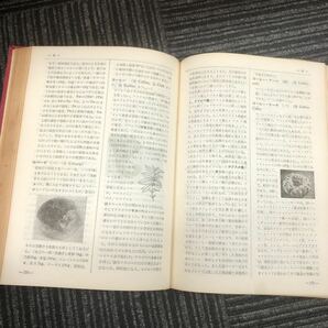 N【H2】★希少★ 製パン製菓百科事典 食糧タイムス社/編 昭和レトロ １９６９年発行 昭和４４年 調理 パン 菓子 香辛料 機械 歴史 辞書の画像7