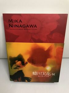 蜷川実花展　地上の花、天上の色