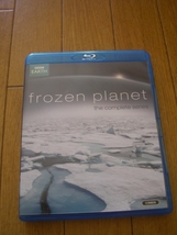 BBC Frozen Planet_画像4