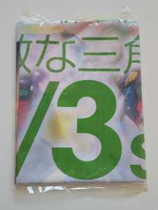 AKB48 パチンコ のぼり ＜素敵な三角関係＞ チームサプライズ 重力シンパシー公演 未開封