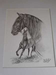 Art hand Auction رسم بالقلم الرصاص لحصان شجاع, عمل فني, تلوين, الرسم بقلم الرصاص, الفحم الرسم