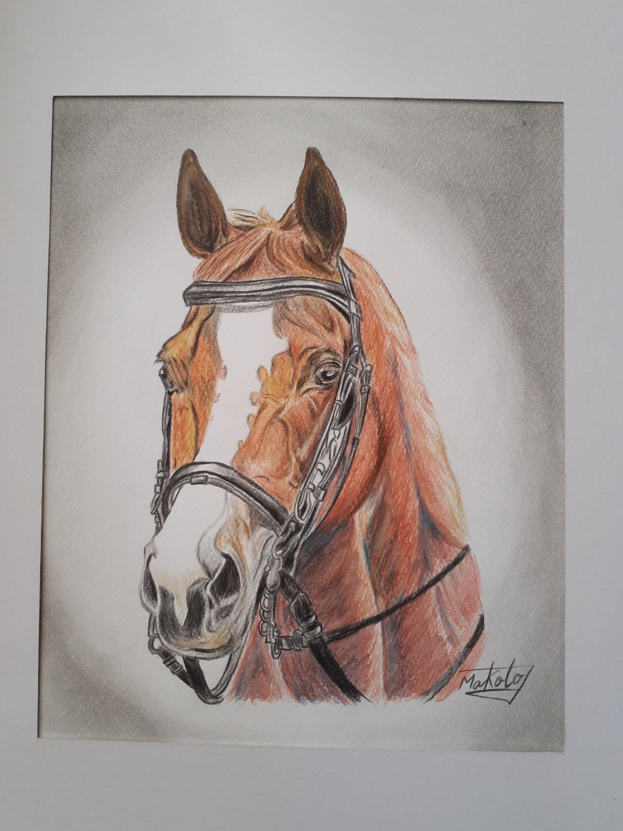 Colored pencil drawing Yuushun mare, artwork, painting, pencil drawing, charcoal drawing