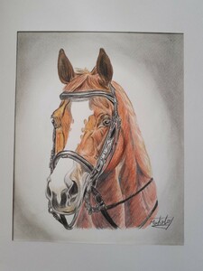 Art hand Auction Colored pencil drawing Yuushun mare, artwork, painting, pencil drawing, charcoal drawing