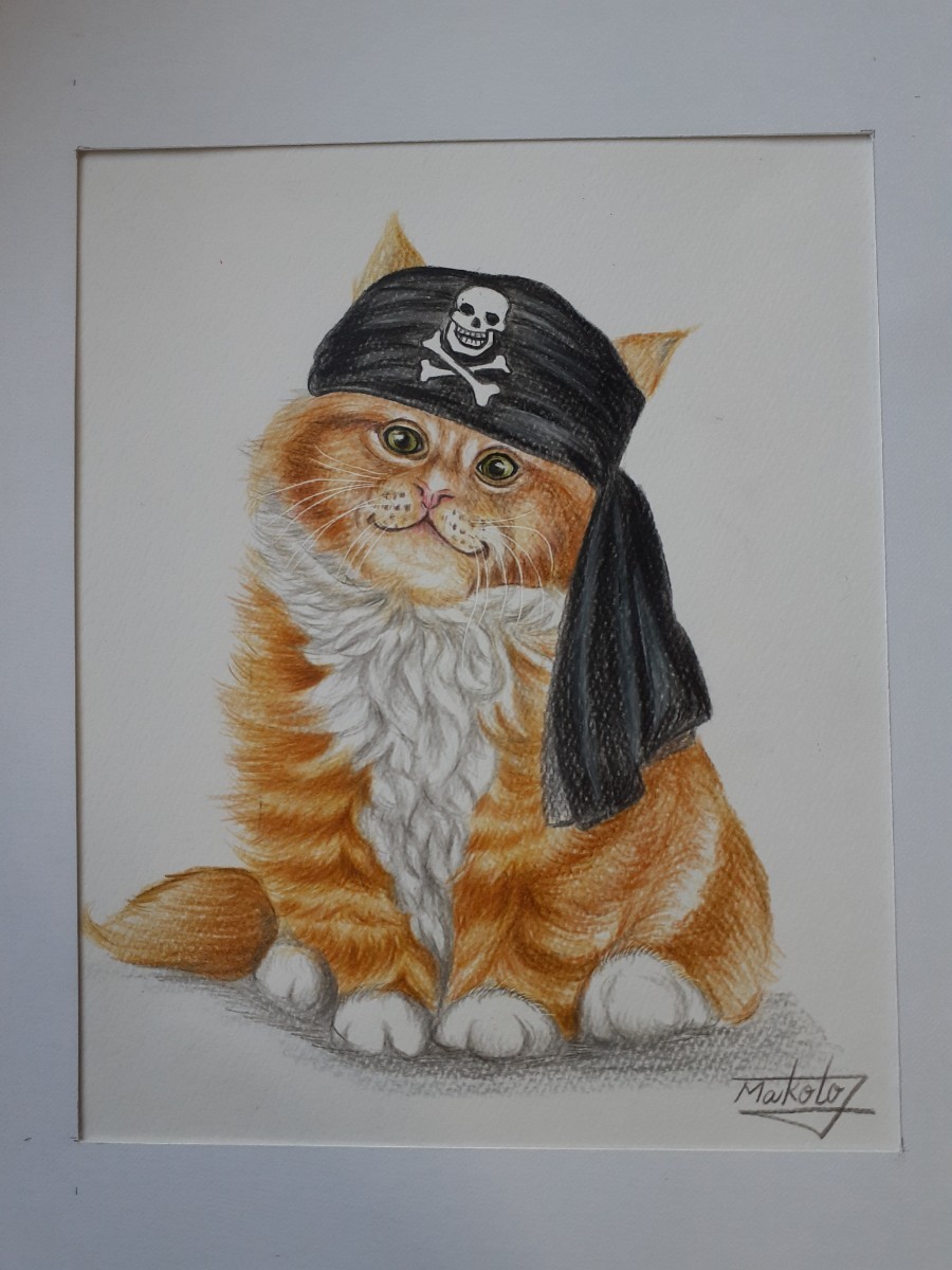 Watercolor pencil drawing pirate cat, artwork, painting, pencil drawing, charcoal drawing