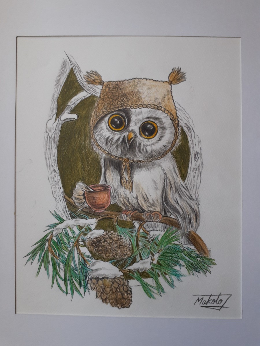 Colored pencil drawing of an owl, Artwork, Painting, Pencil drawing, Charcoal drawing