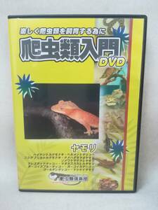 DVD [ рептилии введение DVD ящерица ] рептилии клуб / разведение способ / основы / бобы знания /geko-/ ящерица mo при / рептилии / *DVD-R specification 03-6418