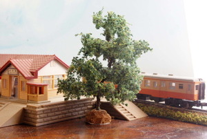鉄道、建築模型　ジオラマ　樹木　松（中）