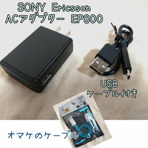 SONY ACアダプター EP800 