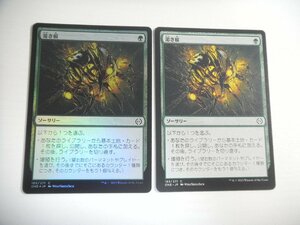 C360【MTG】渇き根 Foil 非Foil 2枚セット ファイレクシア：完全なる統一 即決