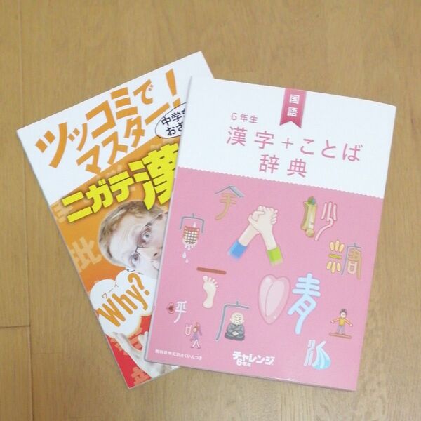 進研ゼミ小学講座　漢字+ことば事典とおまけ