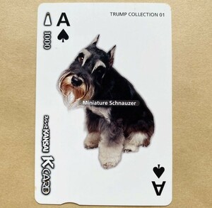 [ used ] Surutto KANSAI capital . electro- iron capital . train playing cards collection miniature *shunau The -