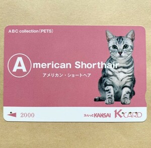 【使用済】 スルッとKANSAI 京阪電鉄 京阪電車 ABCコレクション（ペット） アメリカン・ショートヘア