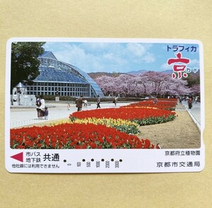 【使用済】 花トラフィカ京カード 京都市交通局 京都府立植物園