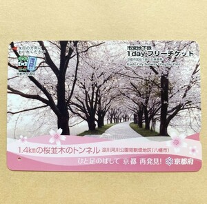 【使用済】 市営地下鉄1dayフリーチケット 京都市交通局 1.4kmの桜並木のトンネル