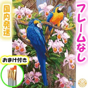 Art hand Auction ☆おまけ付き☆【フレームなし】数字ぬりえ セット 大人の塗り絵 絵の具付き 鳥 花 インテリア 絵画 ジグソーパズル 6114, 美術品, 絵画, その他