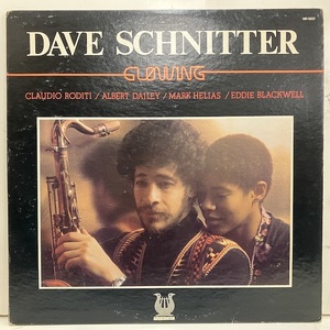 ●即決LP Dave Schnitter / Glowing mr5222 j36180 米オリジナル、プロモ、Prc刻印 デヴィッド・シュニッター 