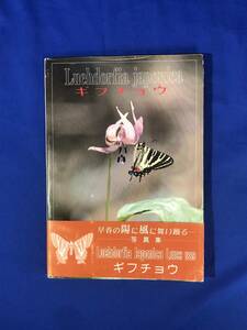 CC227B●「ギフチョウ 生態写真集 1」 名和昆虫博物館・昆虫楽会編 1988年 初版帯付 蝶